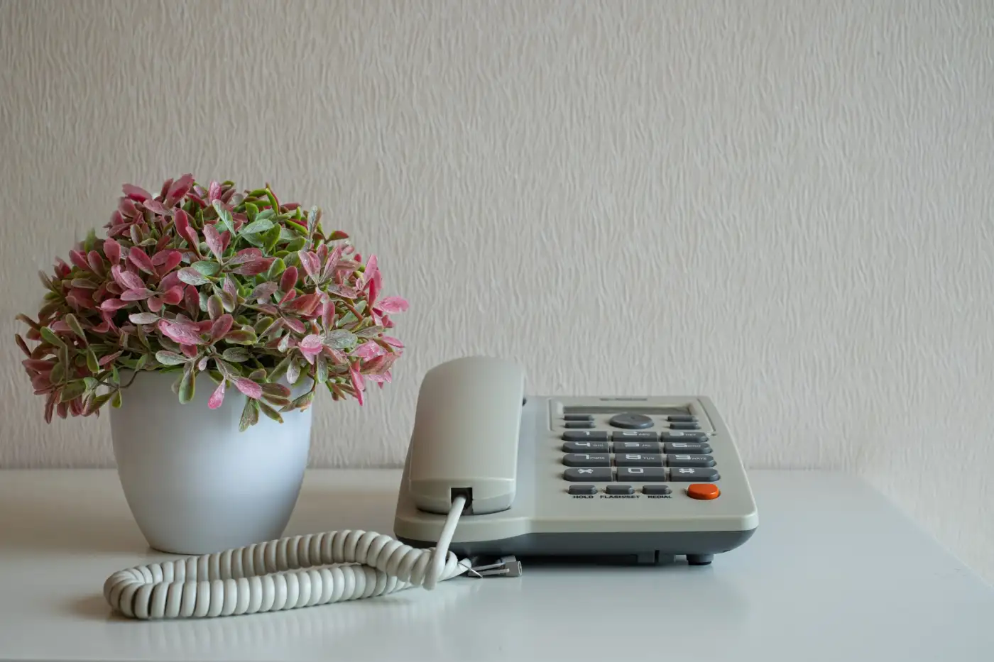 A corded home telephone on a table beside a plant